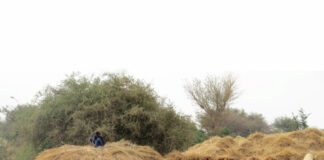 Djihadiste val Christelike dorpe in Mali aan, talle gedood