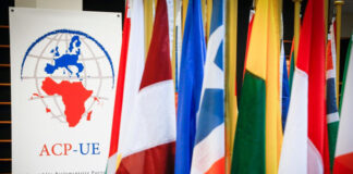 Nuwe EU-verdag maak weer ’n ‘kolonie’ van Afrika om dominante VN-stemblok te skep