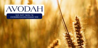 AVODAH – ’n Jaar om jou roeping te ontdek en God te dien