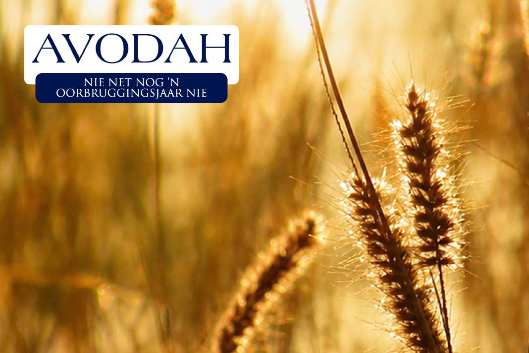 AVODAH Nuus item