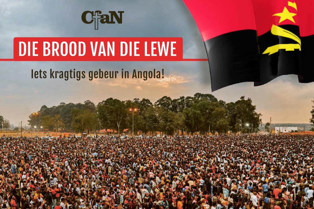 cfan news item afrikaans